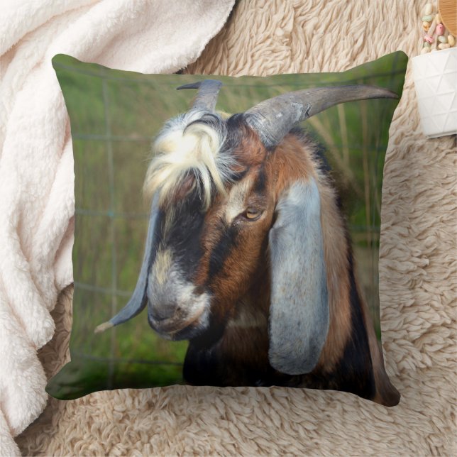 Goat. Cushion (Blanket)