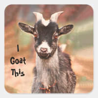 Goat Cute Funny I Goat This