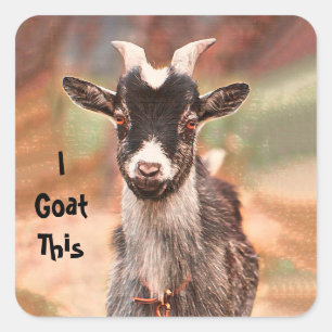 Goat Cute Funny I Goat This Square Sticker