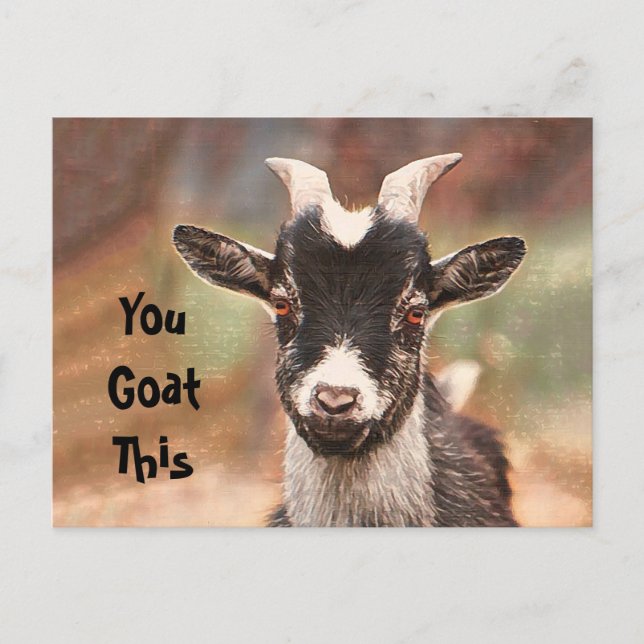 Goat Cute Funny You Goat This Postcard (Front)