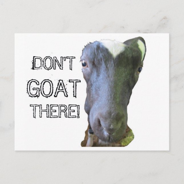 Goat "DON'T GOAT THERE" Postcard (Front)
