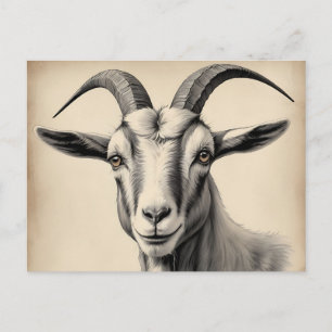 Goat Etching in Fine Lines Postcard