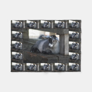 Goat Fleece Blanket