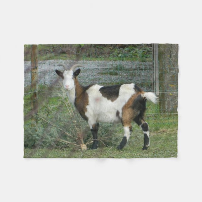 goat fleece blanket (Front (Horizontal))