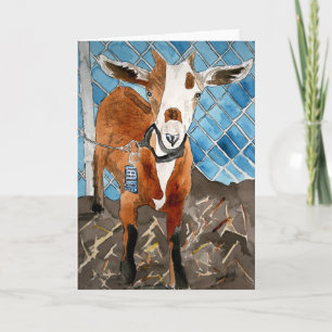 goat greeting card farm animals pets