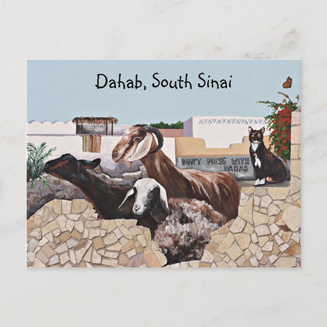 Goat Greetings III Postcard (Front)