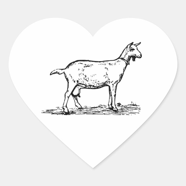 Goat Heart Sticker (Front)