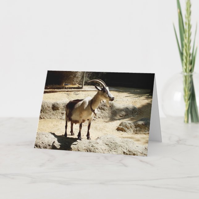 Goat Holiday Card (Front)
