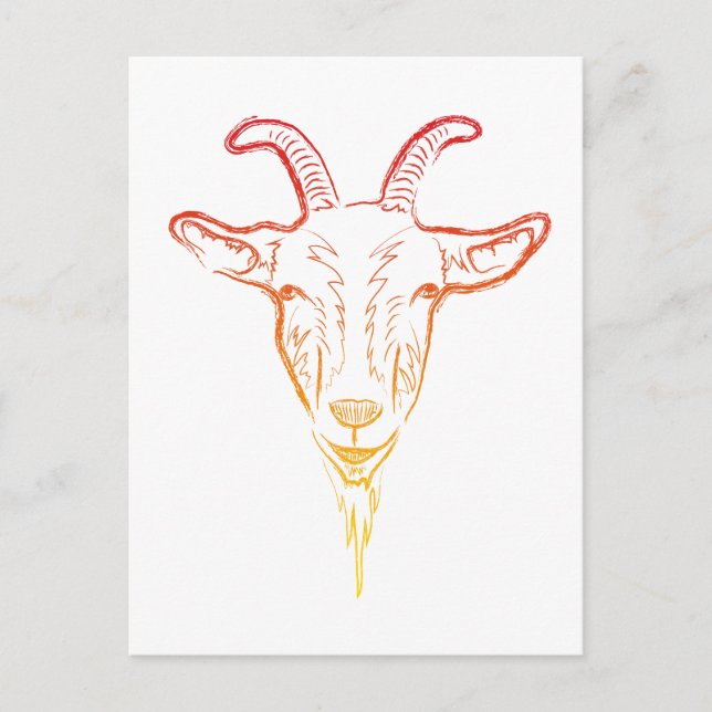 goat illustration postcard (Front)