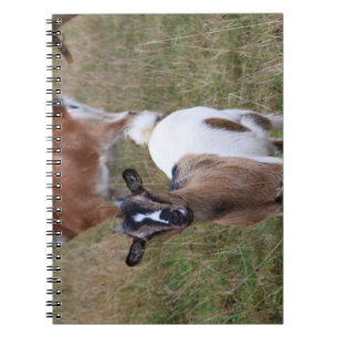 Goat in a field notebook