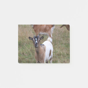 Goat in a field post-it notes