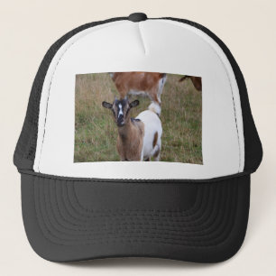 Goat in a field trucker hat