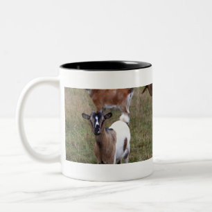 Goat in a field Two-Tone coffee mug