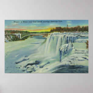 Goat Island View of American Falls in Winter Poster