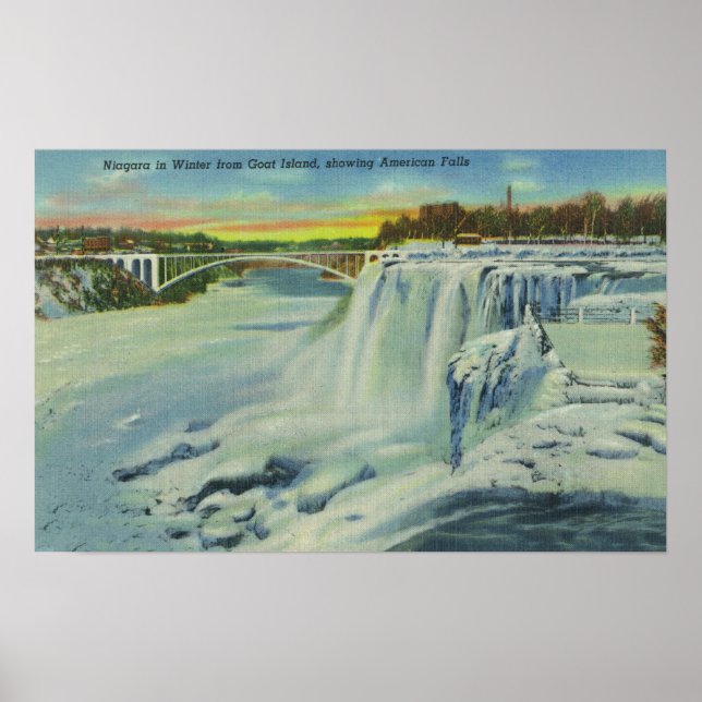 Goat Island View of American Falls in Winter Poster (Front)
