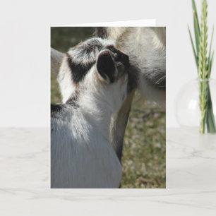 Goat Kid Drinks Milk, Mother's Day Card