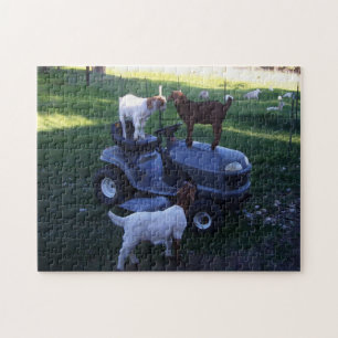 Goat Kids on as Mower Jigsaw Puzzle