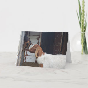 Goat Kisses Personalized Greeting Card