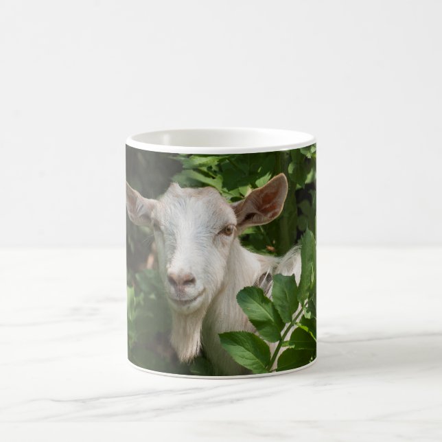 Goat looking at camera coffee mug (Center)