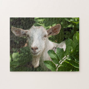 Goat looking at camera jigsaw puzzle