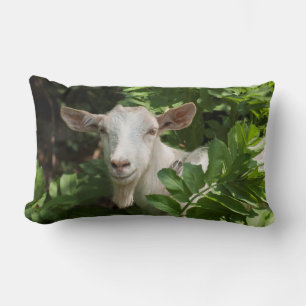 Goat looking at camera lumbar cushion
