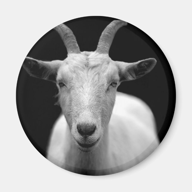 Goat Magnet (Front)