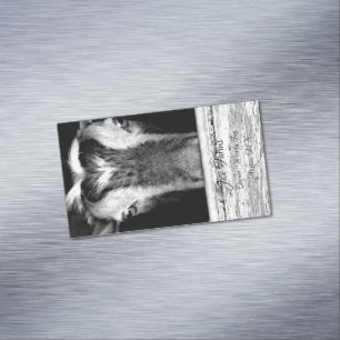 Goat Magnet