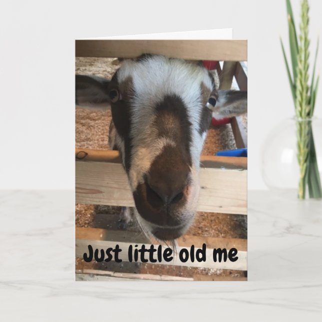 GOAT MAKING FUN OF YOU ON YOUR **40th** BIRTHDAY Card (Front)