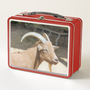 Goat Metal Lunch Box