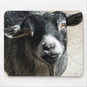 Goat Mouse Pad