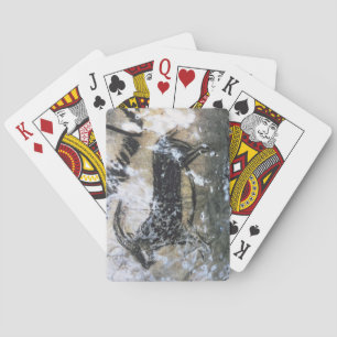 Goat or Chamois, rock painting in the Black Room, Playing Cards