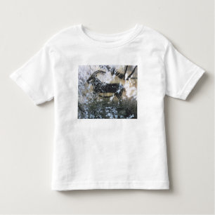 Goat or Chamois, rock painting in the Black Room, Toddler T-Shirt