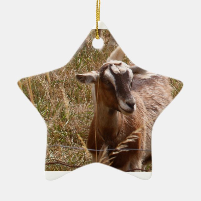Goat Ornament (Front)