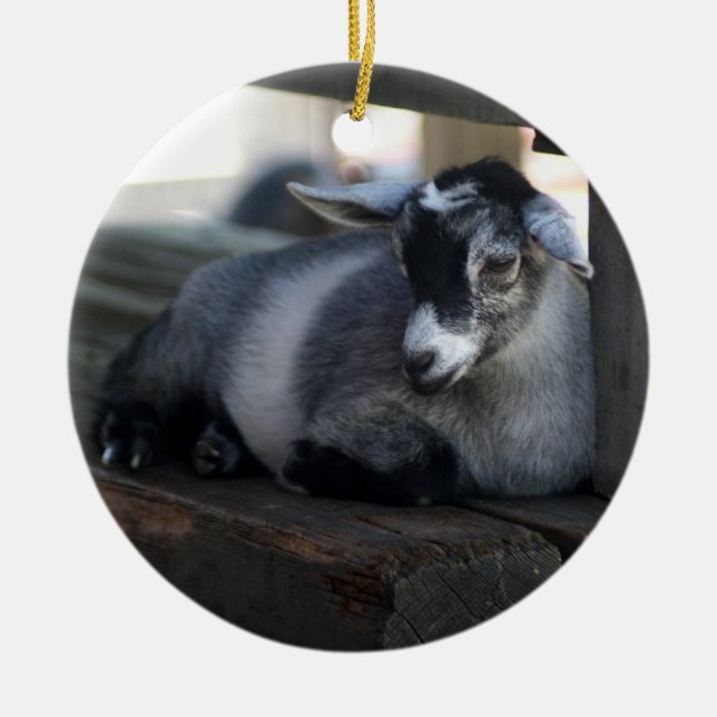 Goat Ornament (Front)