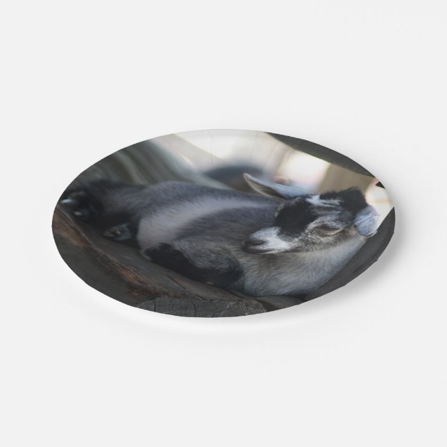 Goat Paper Plate (Angled)