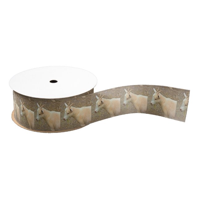 Goat Photo Ribbon Grosgrain Ribbon (Spool)