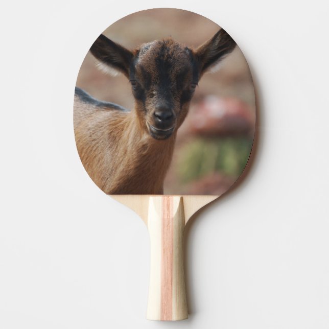 Goat Ping Pong Paddle (Front)