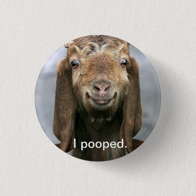 Goat pooping. 3 cm round badge (Front)