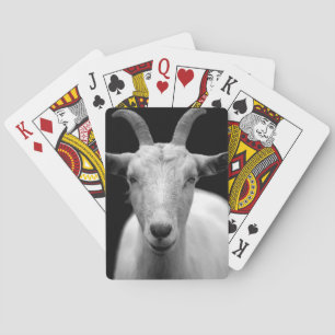 Goat portrait in black and white playing cards