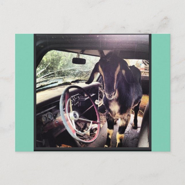 Goat Power Team Postcards (Front)