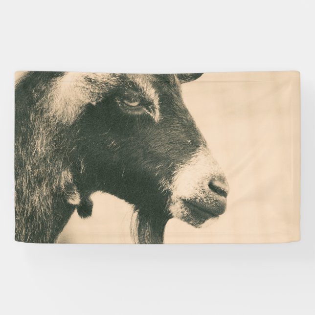 Goat Profile Banner (Horizontal)