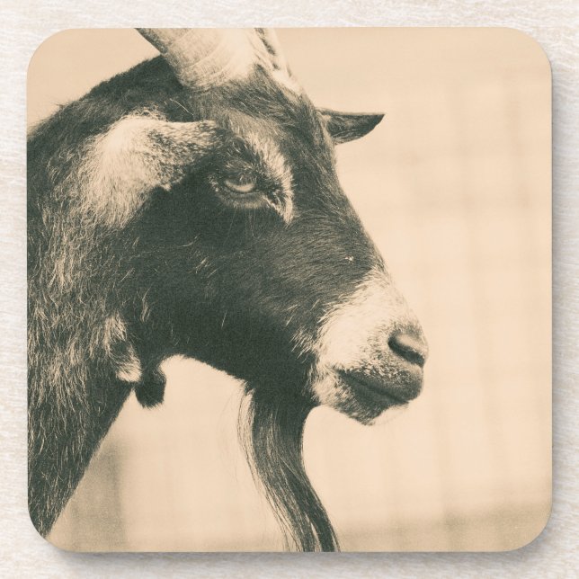 Goat Profile Coaster (Front)