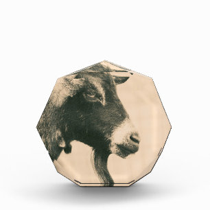 Goat Profile Photo Block