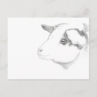 Goat profile postcard by Nicole Janes