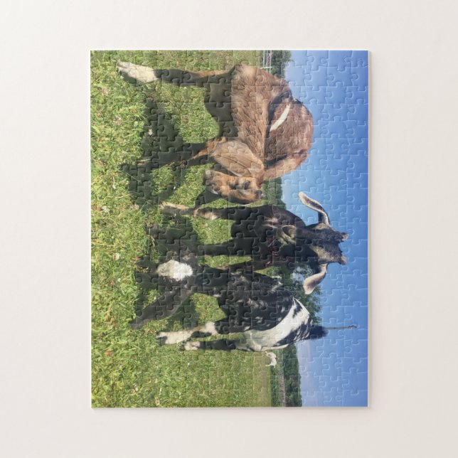 Goat Puzzle (Vertical)