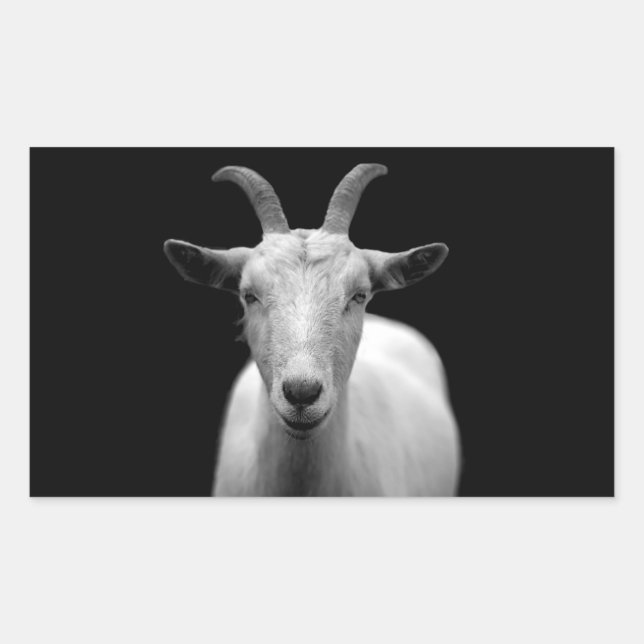 Goat Rectangular Sticker (Front)