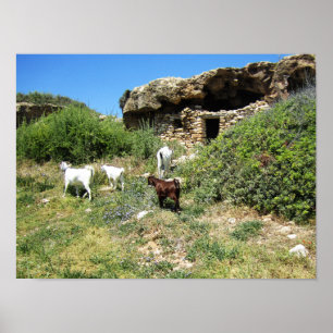 Goat Retreat Poster