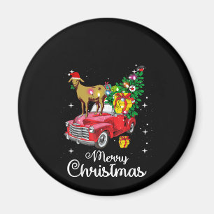 Goat Rides Red Car Christmas Magnet