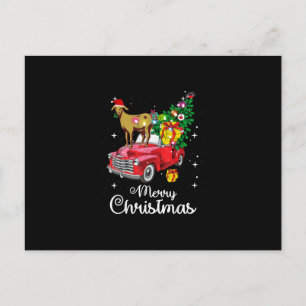 Goat Rides Red Car Christmas Postcard