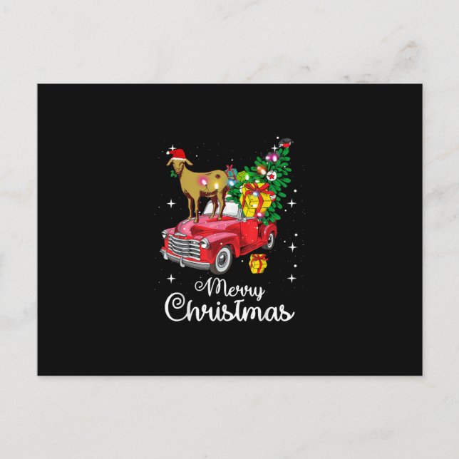 Goat Rides Red Car Christmas Postcard (Front)